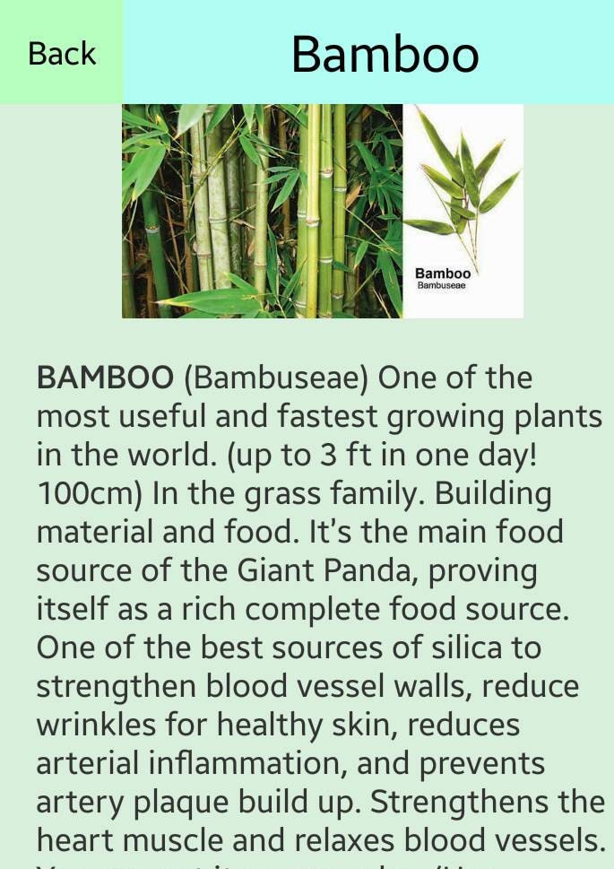 Bamboo & Lemon Peel Tincture 70%Silica for Hair,skin,Nails,Teeth Cardiovascular Wellness FREE SHIPPING