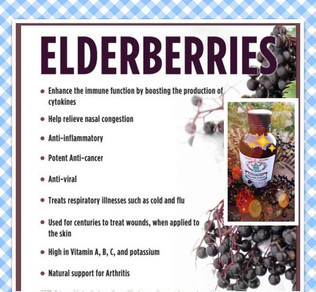 Elderberry Extract 8 oz. DIY Self Care  For Kids or Adults Alcohol Free with Free Shipping Immune Boosting for Cough and Colds and Flu
