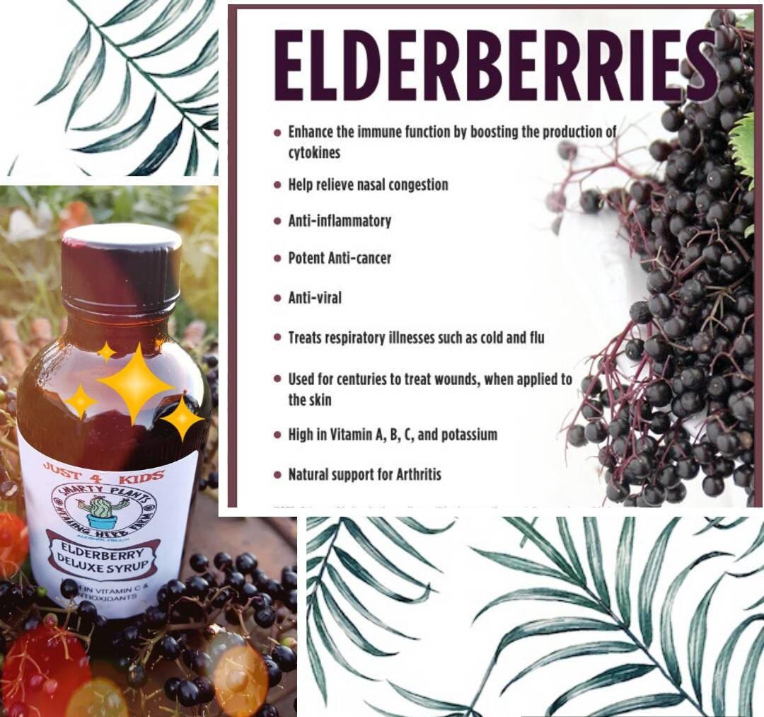 Elderberry Extract 8 oz. DIY Self Care  For Kids or Adults Alcohol Free with Free Shipping Immune Boosting for Cough and Colds and Flu