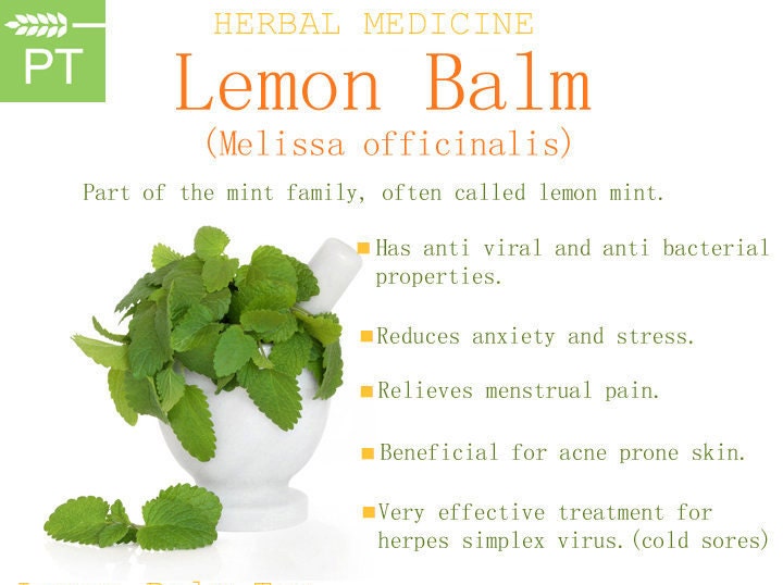 Lemon Balm Glycerin Syrup Alcohol Free Vegan Friendly Plant Based  Kids Organic  Vegan Cough Syrup