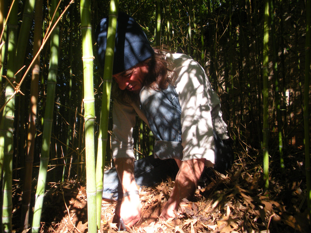 Bamboo & Lemon Peel Tincture 70%Silica for Hair,skin,Nails,Teeth Cardiovascular Wellness FREE SHIPPING