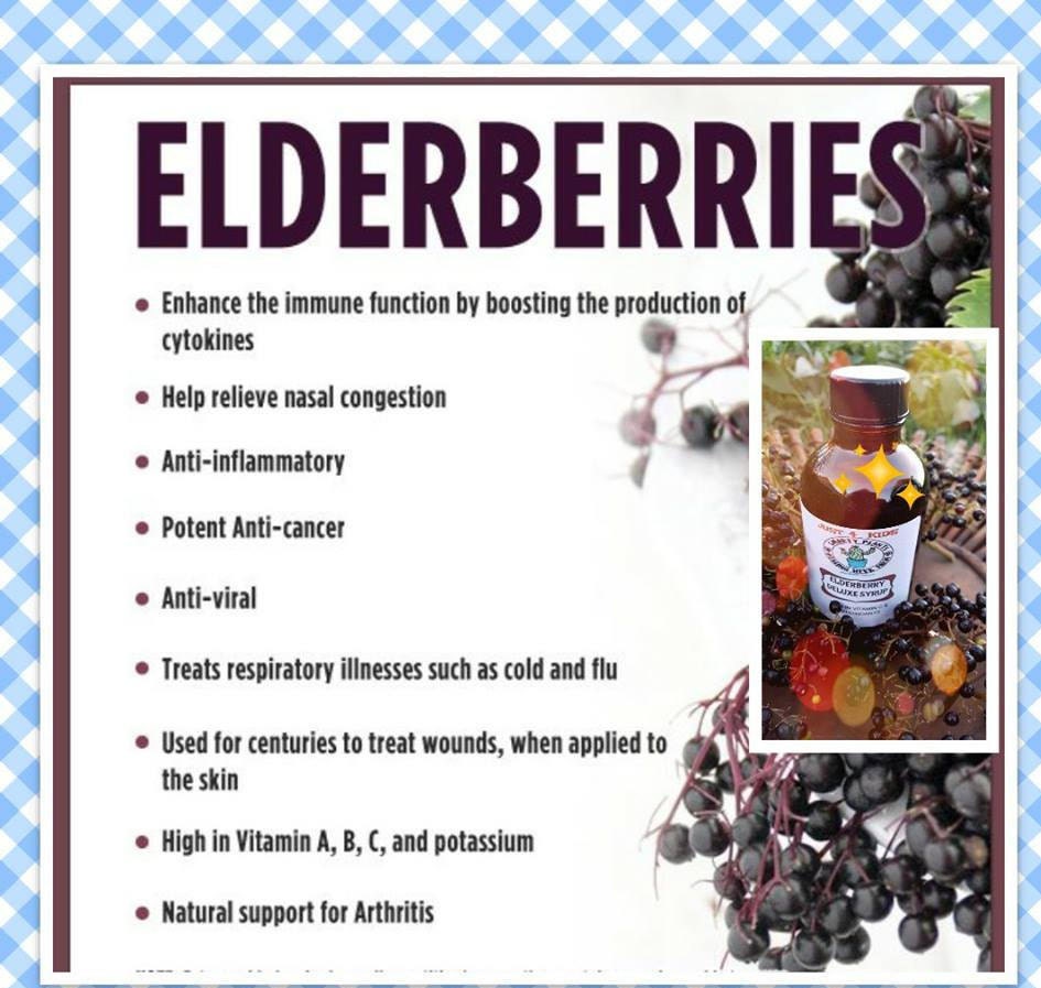 Elderberry and Rose Hips Glycerin Syrup 4 oz Alcohol Free Vegan Friendly Plant Based Just 4 Kids Organic Free Shipping Made in USA