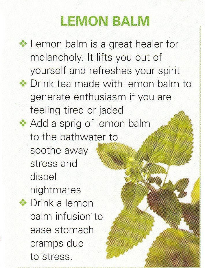 Lemon Balm Glycerin Syrup Alcohol Free Vegan Friendly Plant Based  Kids Organic  Vegan Cough Syrup