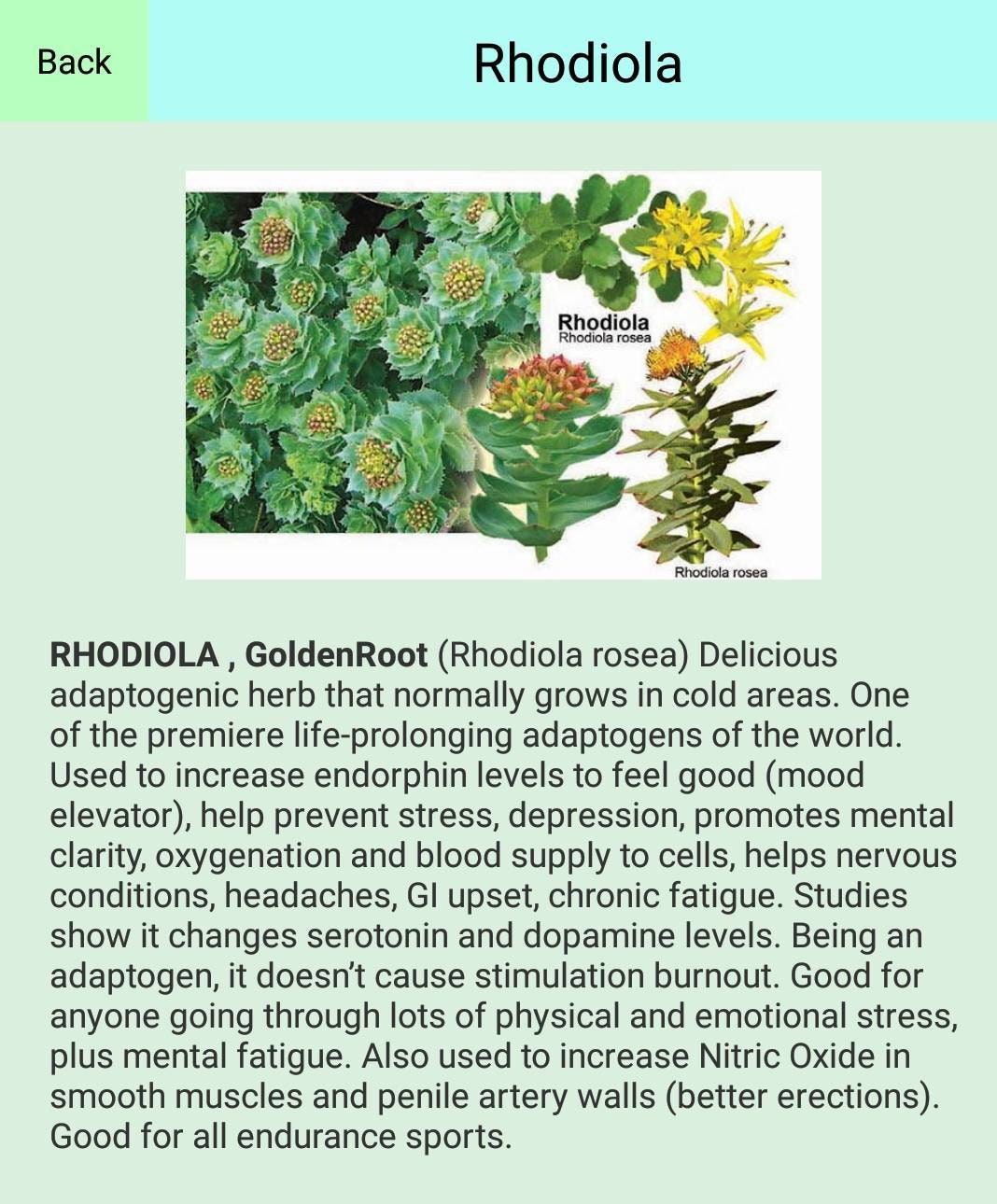 Rhodiola Herbal Tincture Mental and Physical  Quick & Easy Self Care Stress Relief 1 oz. Personal Care Made in Texas, USA