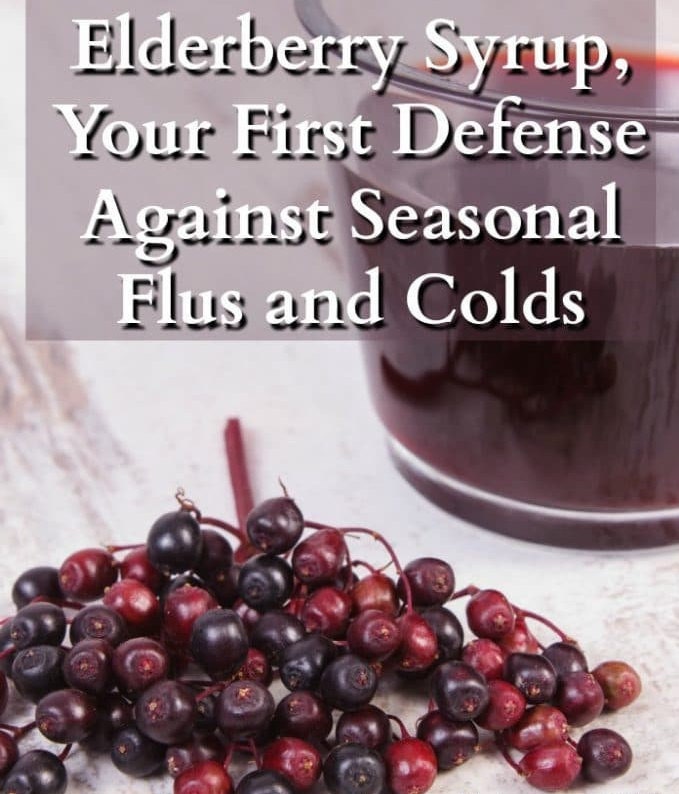 Elderberry and Rose Hips Glycerin Syrup 4 oz Alcohol Free Vegan Friendly Plant Based Just 4 Kids Organic Free Shipping Made in USA