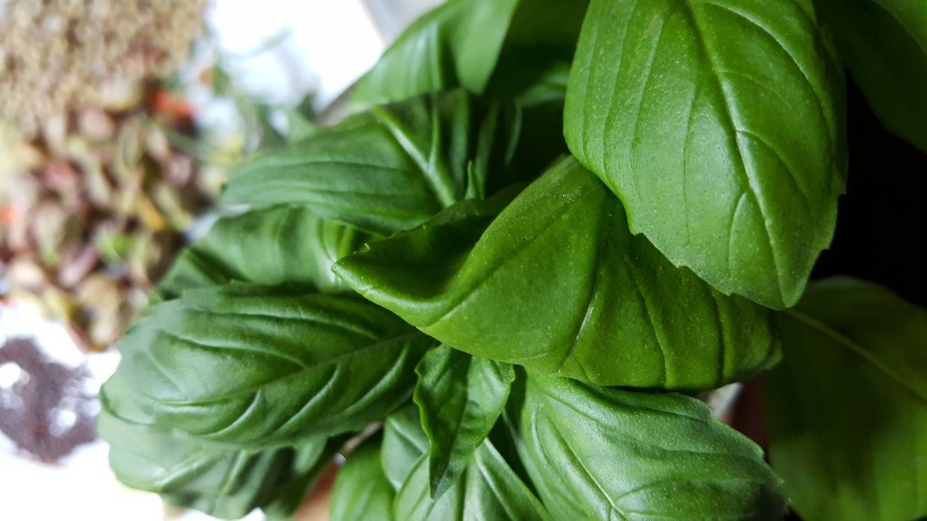 Women's helper loose leaf herbal DIY Self Care tea blend menopause stress fighter hot flash tea