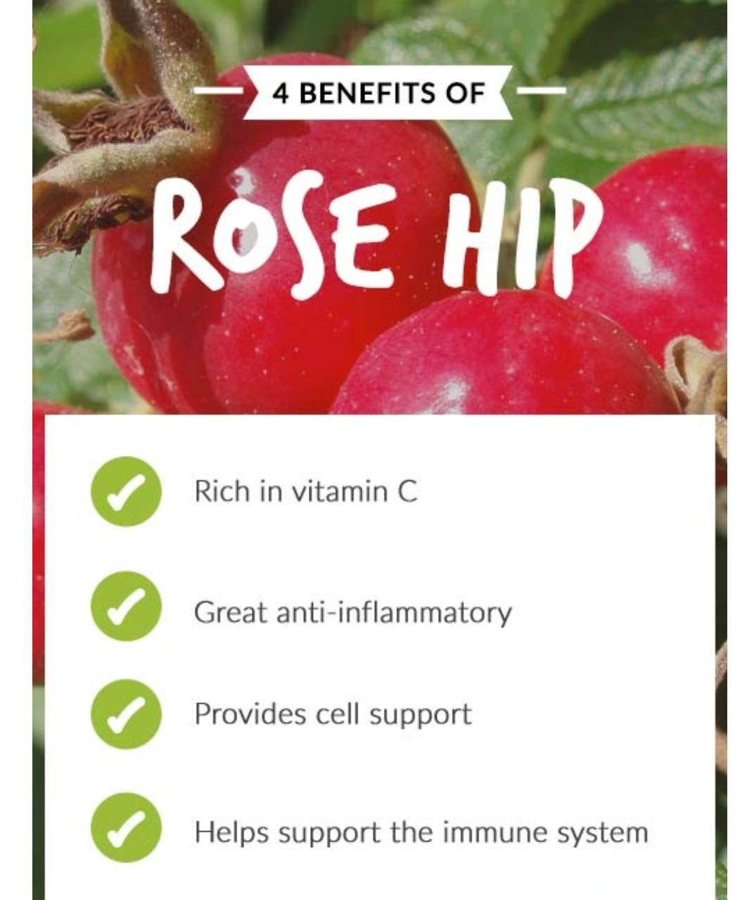 Elderberry and Rose Hips Glycerin Syrup 4 oz Alcohol Free Vegan Friendly Plant Based Just 4 Kids Organic Free Shipping Made in USA