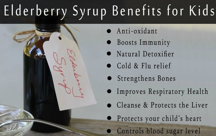 Elderberry and Rose Hips Glycerin Syrup 4 oz Alcohol Free Vegan Friendly Plant Based Just 4 Kids Organic Free Shipping Made in USA
