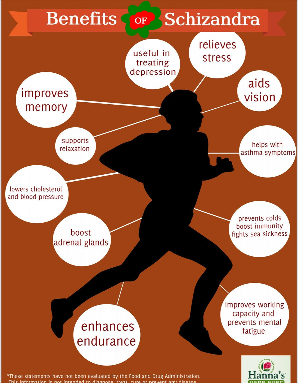 Schisandra Berry Extract Immune Support Herbal Liquid Extract Tincture for Herbal Allergy helper