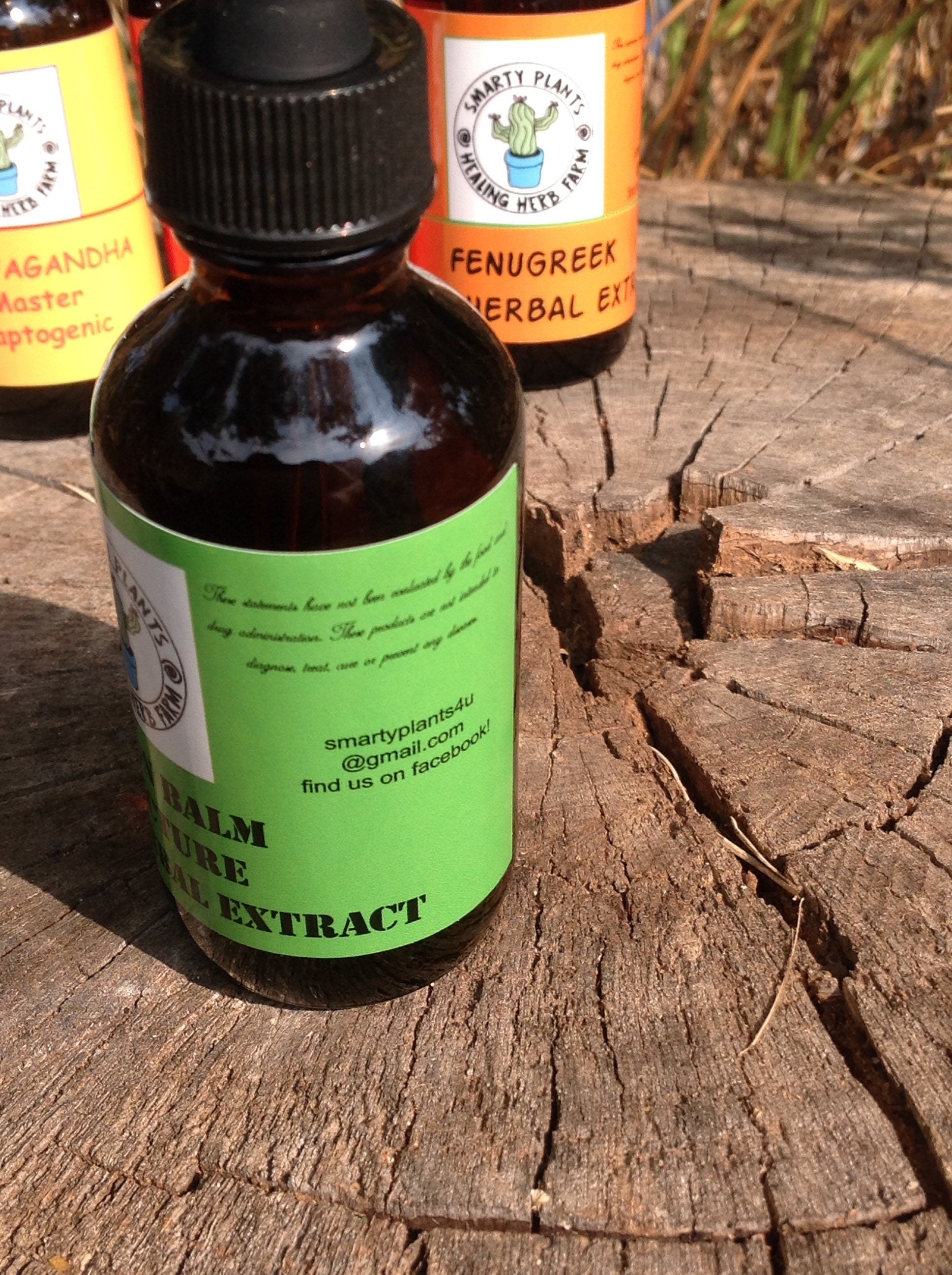 Lemon Balm Glycerin Syrup Alcohol Free Vegan Friendly Plant Based  Kids Organic  Vegan Cough Syrup