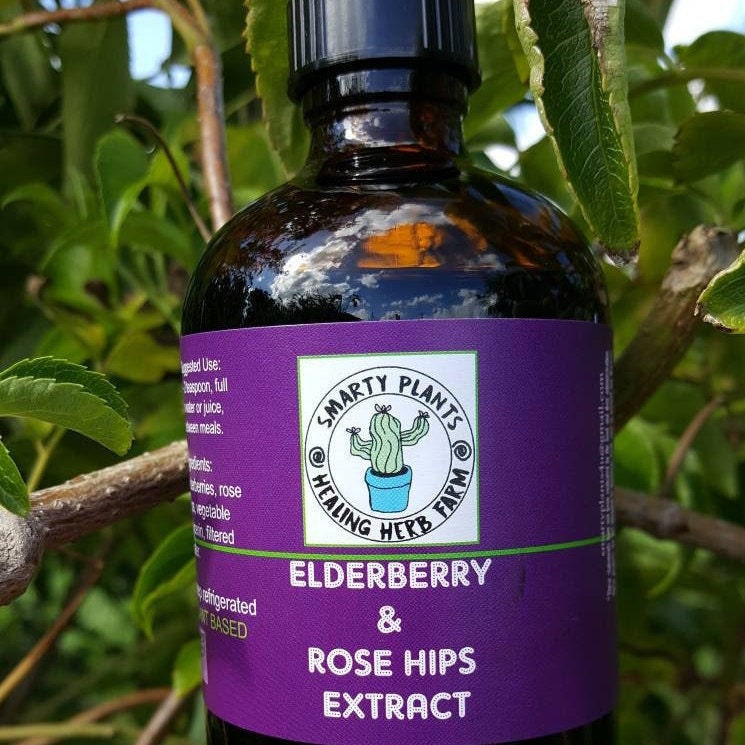 Elderberry and Rose Hips Glycerin Syrup 4 oz Alcohol Free Vegan Friendly Plant Based Just 4 Kids Organic Free Shipping Made in USA
