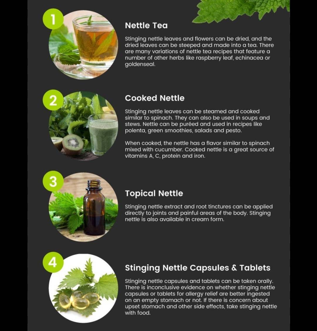 Sting Nettle leaf from Texas  4 oz. Bulk Herbs DIY Self Care  Urtica dioica