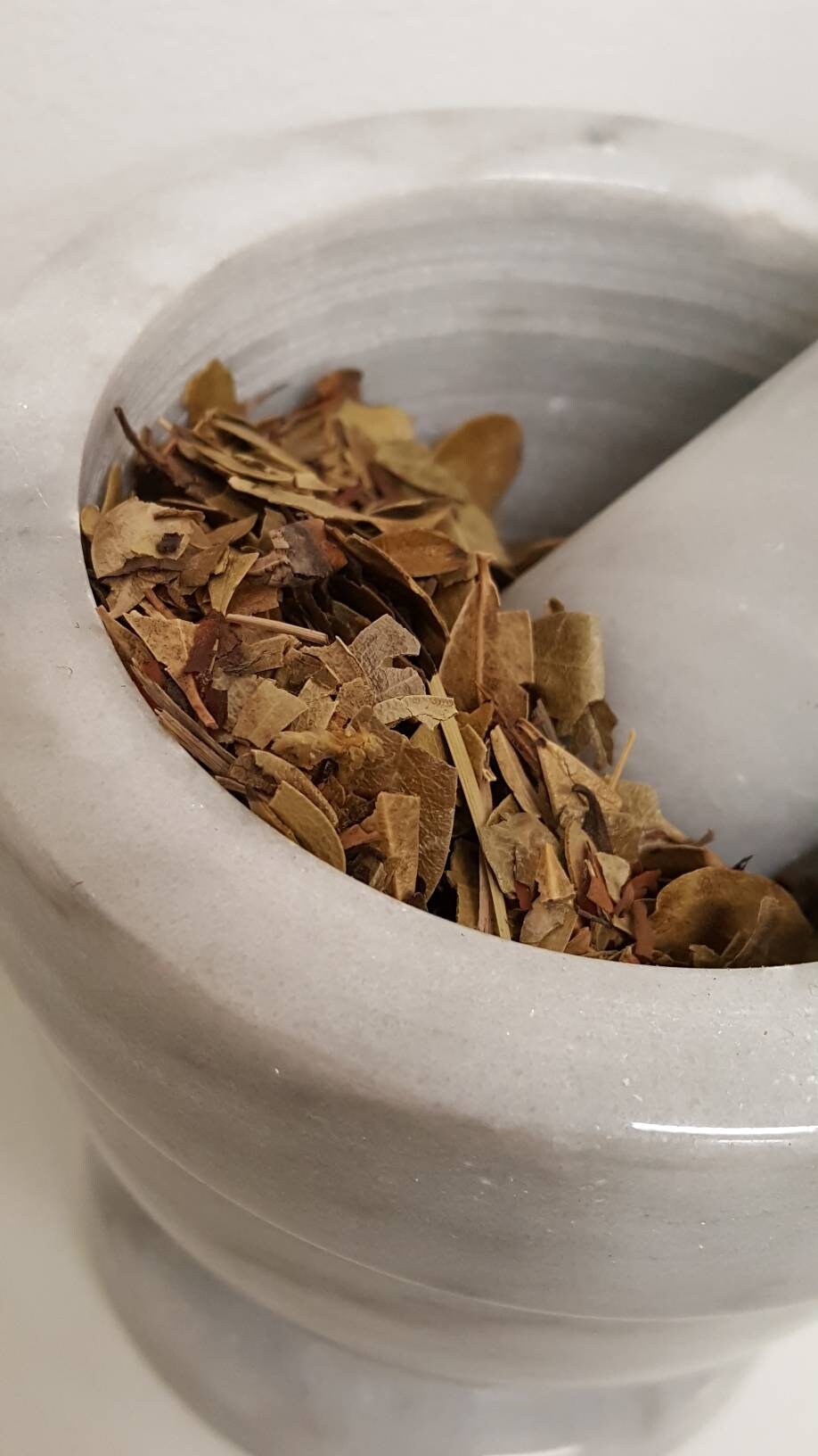 Organic Uva Ursi  Artostaphylos loose leaf bulk herb from Texas 4 oz. , 8 oz.DIY Self Care