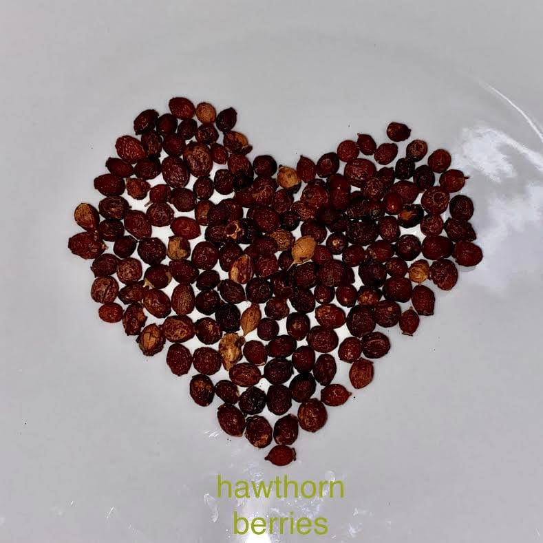 Hawthorn Organic  Berries Bulk Herb 2 oz.  from Texas Self Care Tea dried botanicals