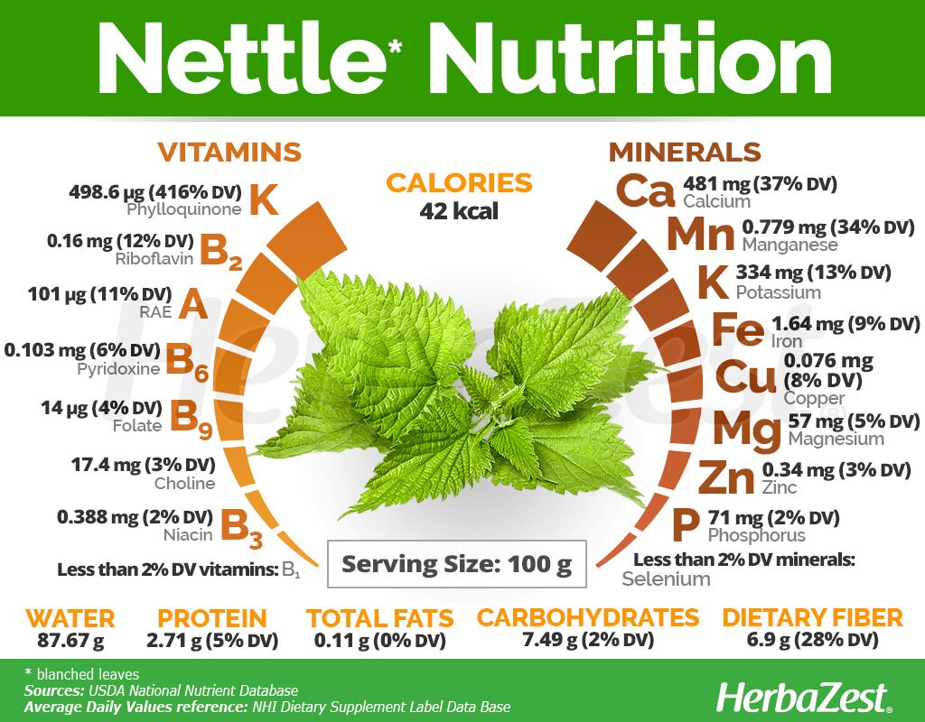 Nettle & Mint Herbal Extract - 2 oz
