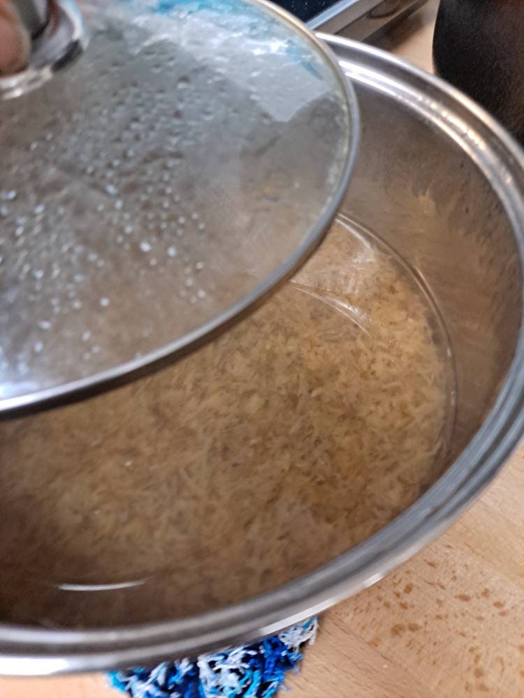 Irish Moss 4 oz. Bulk Herbs Cut and Sifted Irish Moss