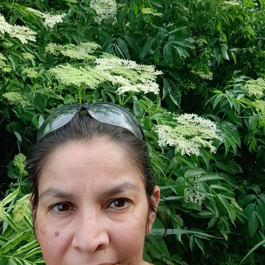 Wild Crafted Elderberries - 2 oz