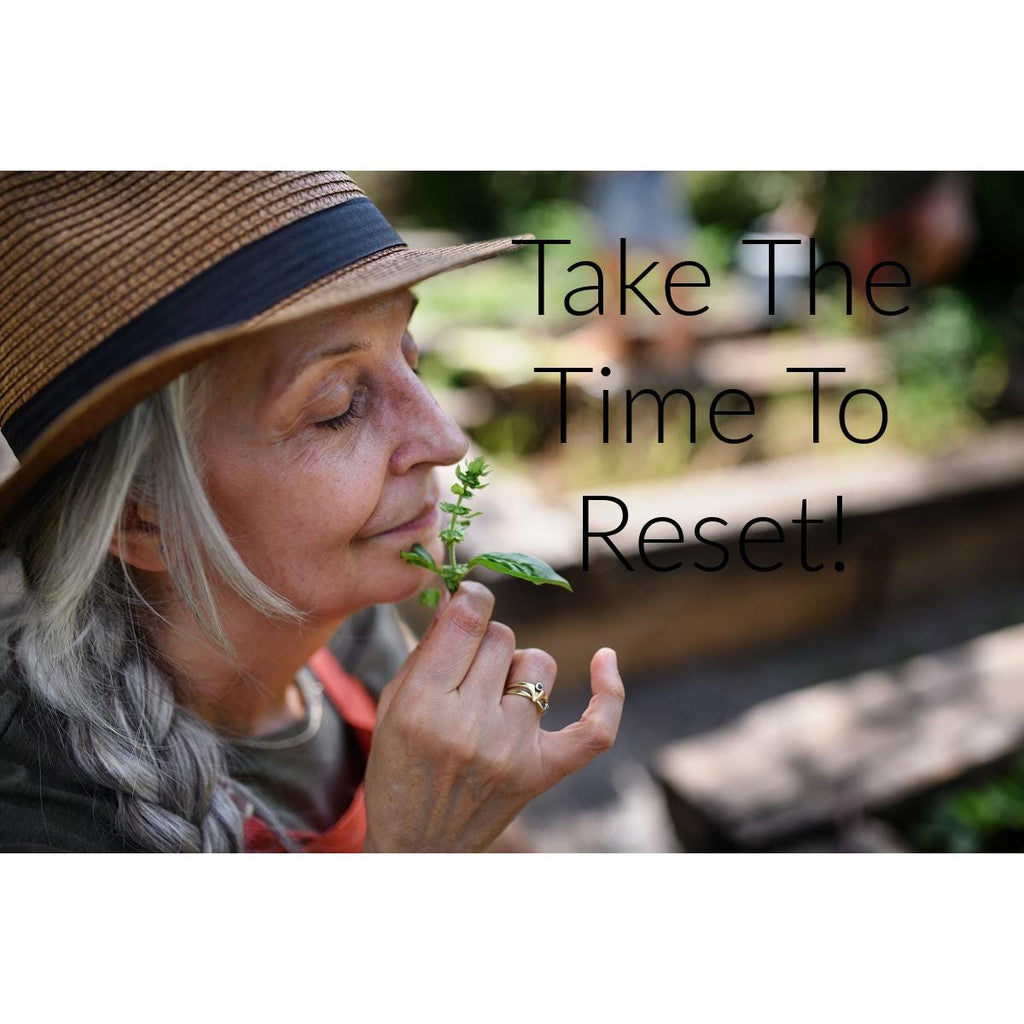 Nettle Loose Leaf Dried Organic 2 oz. bulk bag from Texas self care dried botanical tea